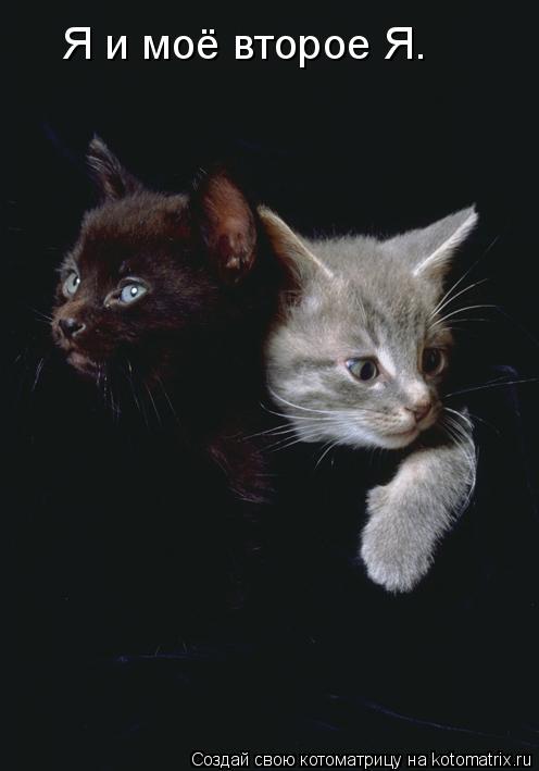 Я и моё второе Я.... Котоматрица: Я и моё второе Я.