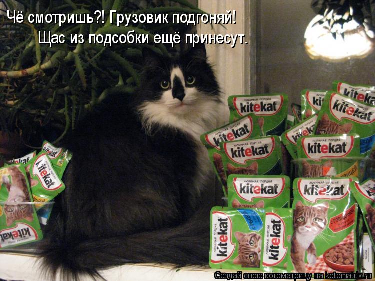 Чё смотришь?! Грузовик подгоняй! Щас из подсобки ещё принесут.... Котоматрица: Чё смотришь?! Грузовик подгоняй! Щас из подсобки ещё принесут.