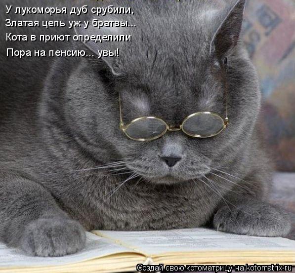 Котоматрица: У лукоморья дуб срубили, Златая цепь уж у братвы... Кота в приют определили Пора на пенсию... увы!