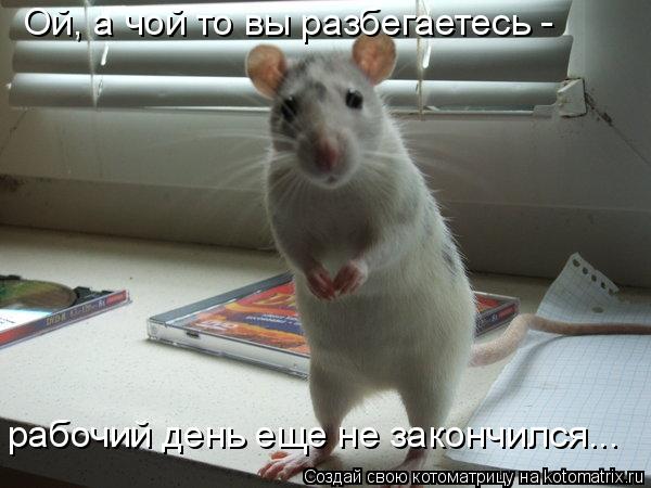 Ой, а чой то вы разбегаетесь - рабочий день еще не закончился...... Котоматрица: Ой, а чой то вы разбегаетесь - рабочий день еще не закончился...