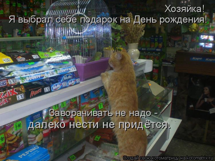 Хозяйка! Я выбрал себе подарок на День рождения! Заворачивать не надо - далеко нести не придётся.... Котоматрица: Хозяйка! Я выбрал себе подарок на День рождения! Заворачивать не надо - далеко нести не придётся.