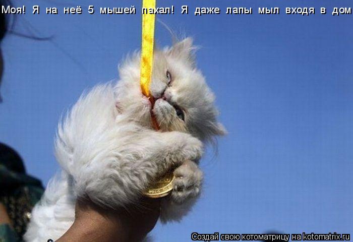 Моя! Я на неё 5 мышей пахал! Я даже лапы мыл входя в дом!... Котоматрица: Моя! Я на неё 5 мышей пахал! Я даже лапы мыл входя в дом!
