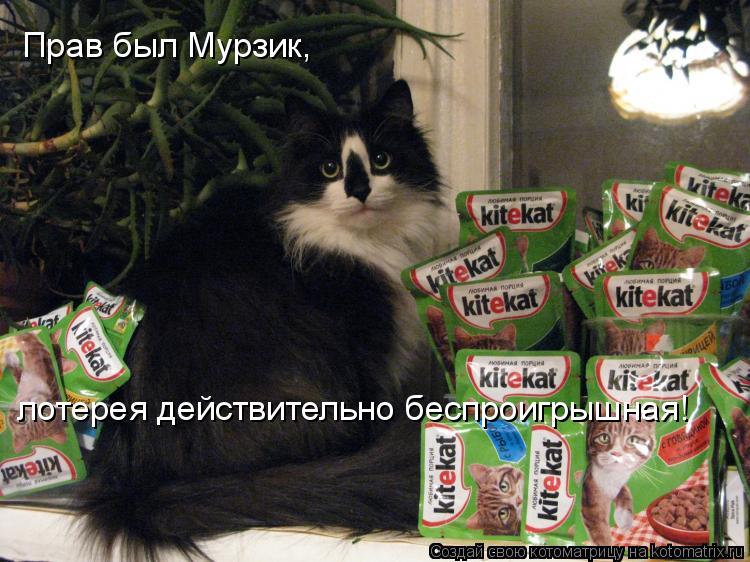 Прав был Мурзик, лотерея действительно беспроигрышная!... Котоматрица: Прав был Мурзик, лотерея действительно беспроигрышная!