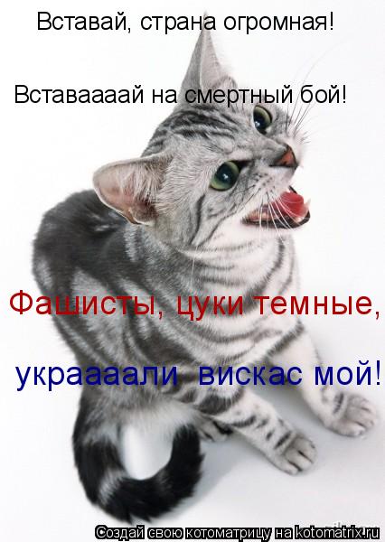 Котоматрица: Вставай, страна огромная! Вставаааай на смертный бой! Фашисты, цуки темные, украааали  вискас мой!