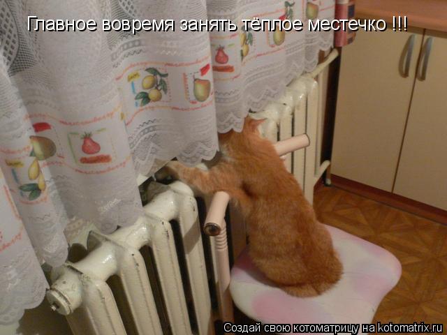 Главное вовремя занять тёплое местечко !!!... Котоматрица: Главное вовремя занять тёплое местечко !!!