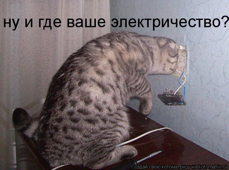 ну и где ваше электричество?... Котоматрица: ну и где ваше электричество?