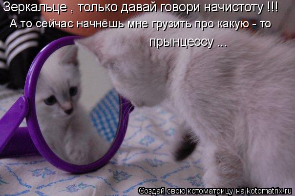 Зеркальце , только давай говори начистоту !!! А то сейчас начнёшь мне грузить про какую - то прынцесс... Котоматрица: Зеркальце , только давай говори начистоту !!! А то сейчас начнёшь мне грузить про какую - то прынцессу ...