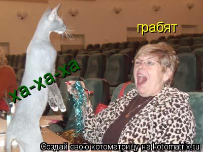грабят ха-ха-ха... Котоматрица: грабят ха-ха-ха