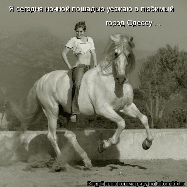 Я сегодня ночной лошадью уезжаю в любимый город Одессу ...... Котоматрица: Я сегодня ночной лошадью уезжаю в любимый город Одессу ...