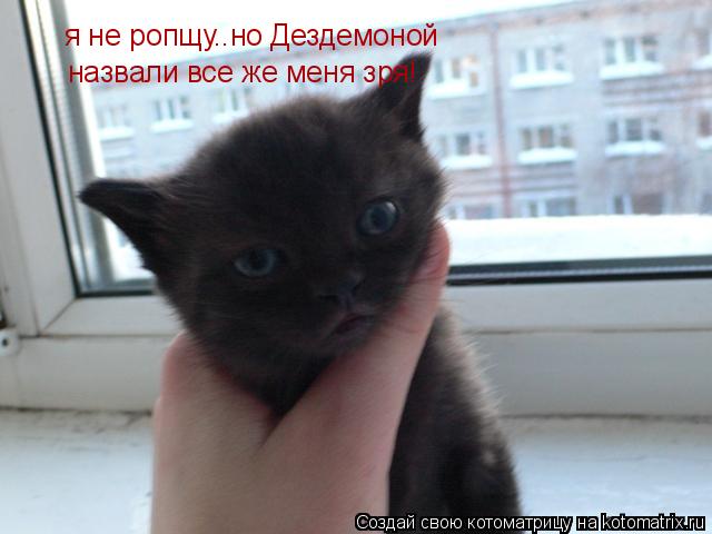 я не ропщу..но Дездемоной назвали все же меня зря!... Котоматрица: я не ропщу..но Дездемоной назвали все же меня зря!
