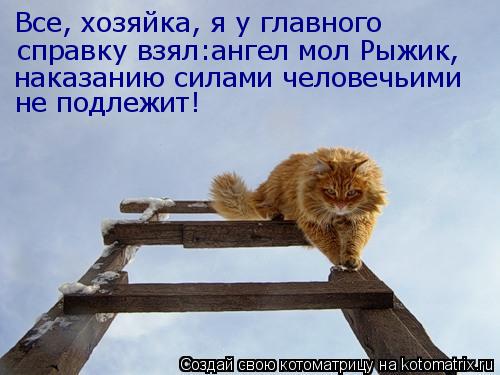 Котоматрица: Все, хозяйка, я у главного  справку взял:ангел мол Рыжик, наказанию силами человечьими не подлежит!