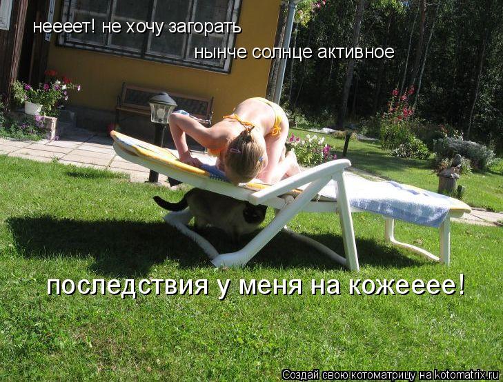 Котоматрица: неееет! не хочу загорать нынче солнце активное последствия у меня на кожееее!