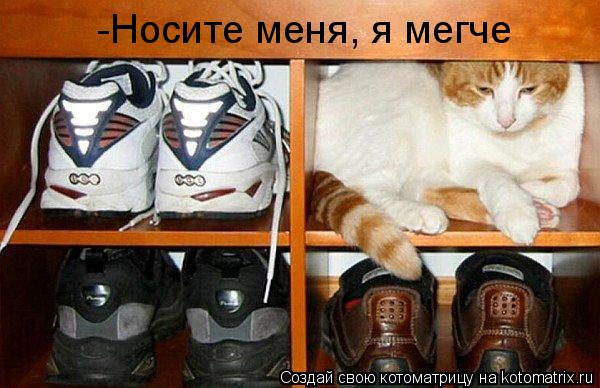 Котоматрица: -Носите меня, я мегче