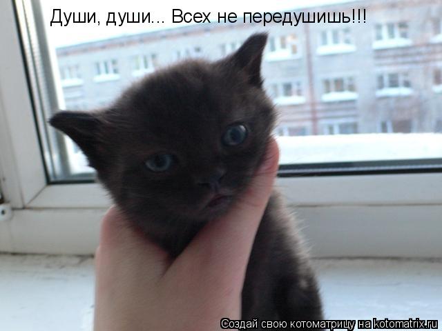 Котоматрица: Души, души... Всех не передушишь!!!