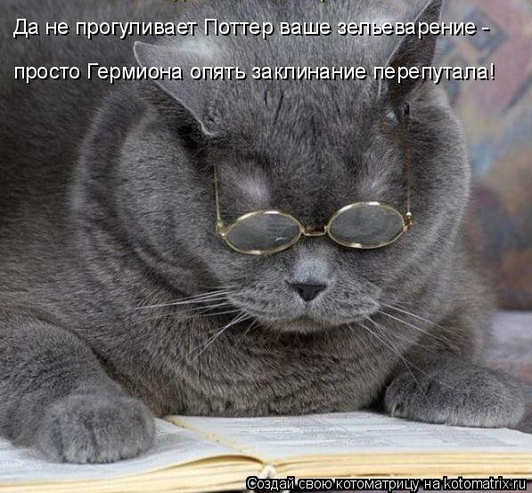 Котоматрица: Да не прогуливает Поттер ваше зельеварение - просто Гермиона опять заклинание перепутала!