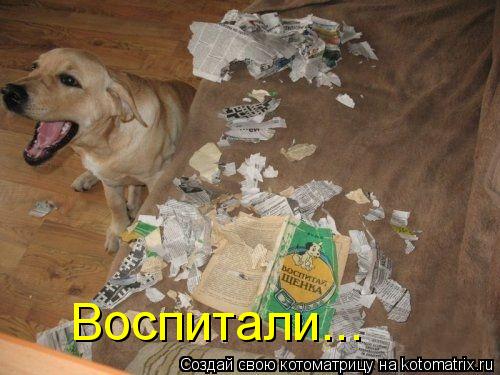 Котоматрица: Воспитали...