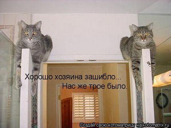 Котоматрица: Хорошо хозяина зашибло...  Нас же трое было.