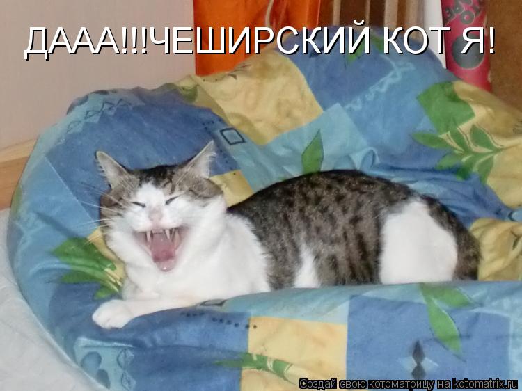 Котоматрица: ДААА!!!ЧЕШИРСКИЙ КОТ Я!