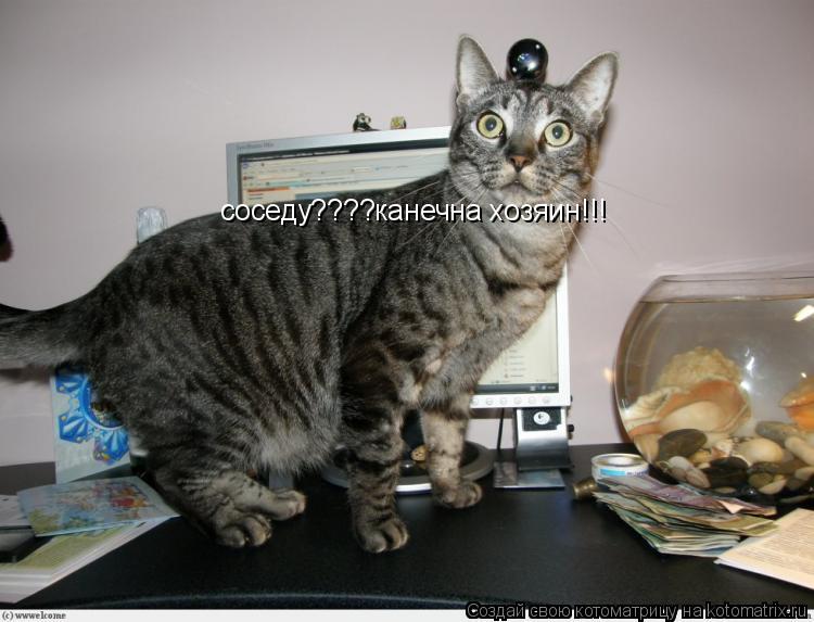 Котоматрица: соседу????канечна хозяин!!!