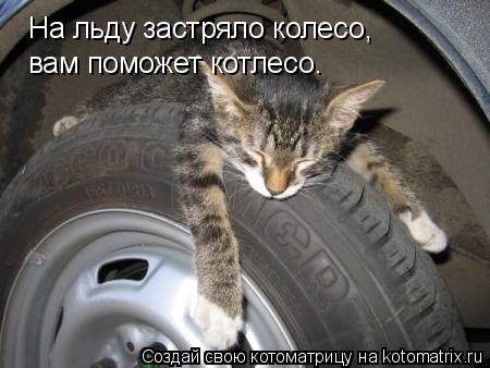 Котоматрица: На льду застряло колесо, вам поможет котлесо.
