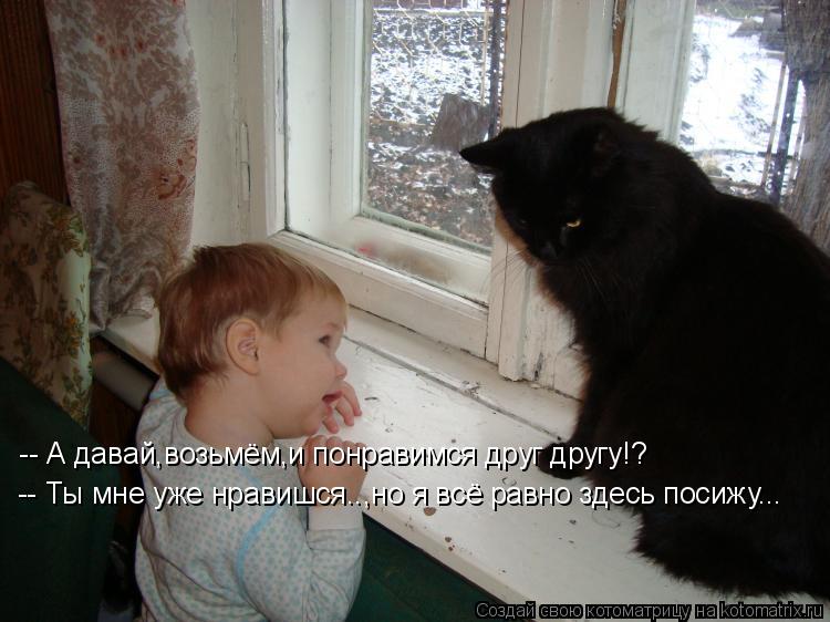 Котоматрица: -- А давай,возьмём,и понравимся друг другу!? -- Ты мне уже нравишся..,но я всё равно здесь посижу...