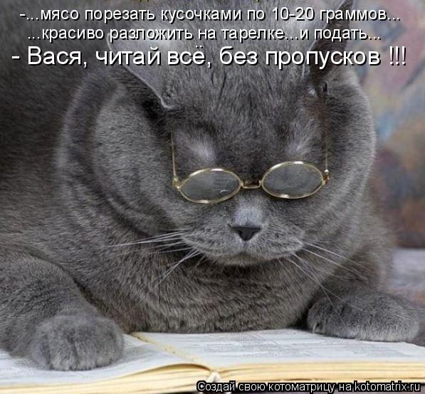 Котоматрица: - Вася, читай все, без пропусков !!! -...мясо порезать кусочками по 10-20 граммов... ...красиво разложить на тарелке...и подать... ..
