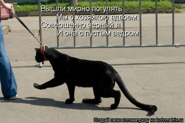Вышли мирно погулять Мы с хозяйкою вдвоем: Совершенно черный я И она с пустым ведром...... Котоматрица: Вышли мирно погулять Мы с хозяйкою вдвоем: Совершенно черный я И она с пустым ведром...