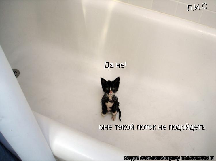 Котоматрица: Да не! мне такой лоток не подойдеть Л.И.С