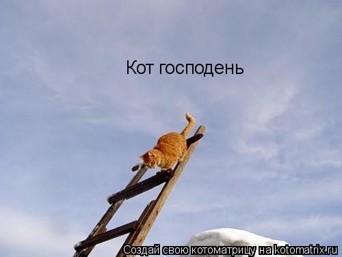 Котоматрица: Кот господень