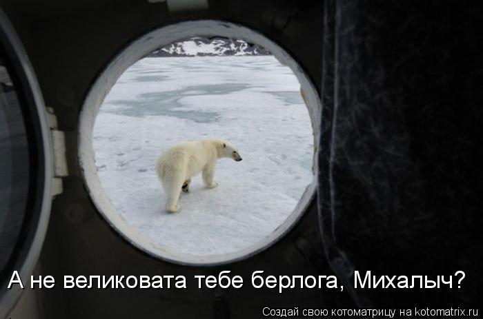 Котоматрица: А не великовата тебе берлога, Михалыч?