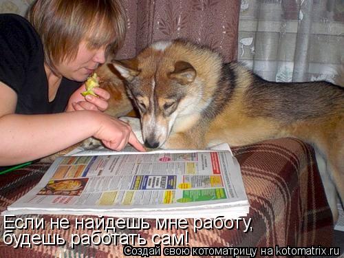 Котоматрица: Если не найдешь мне работу, будешь работать сам!