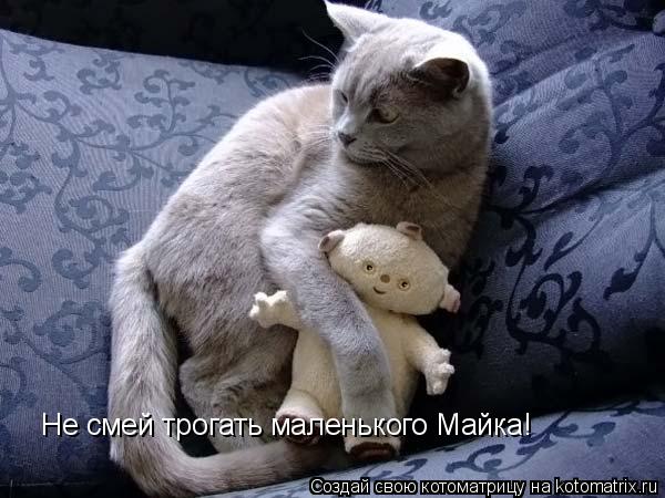 Котоматрица: Не смей трогать маленького Майка!