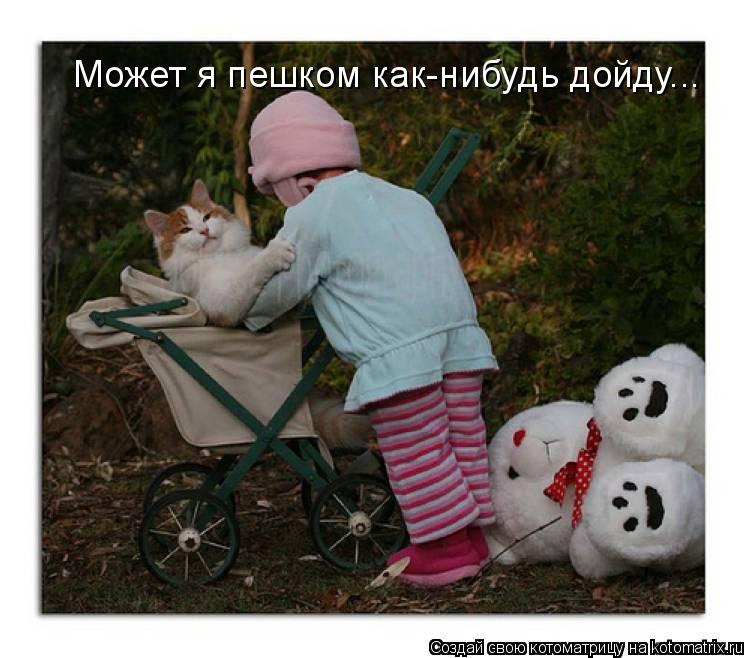 Котоматрица: Может я пешком как-нибудь дойду...