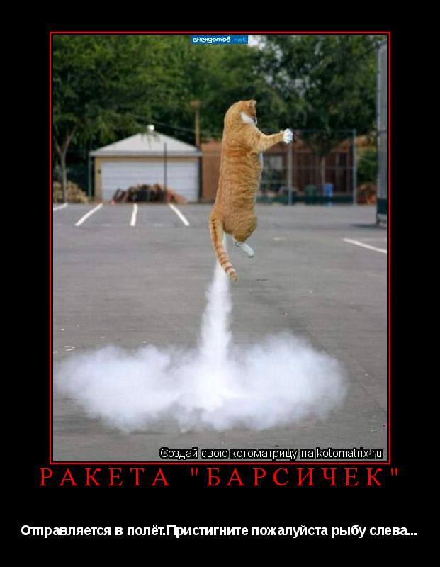 РАКЕТА "БАРСИЧЕК" Отправляется в полёт.Пристигните пожалуйста рыбу слева...... Котоматрица: РАКЕТА "БАРСИЧЕК" Отправляется в полёт.Пристигните пожалуйста рыбу слева...