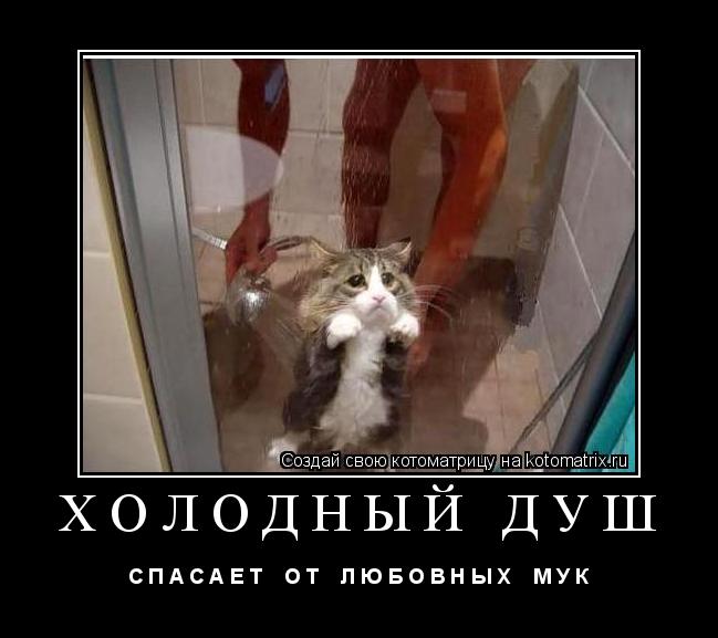 Котоматрица: ХОЛОДНЫЙ ДУШ  С П А С А Е Т    О Т    Л Ю Б О В Н Ы Х    М У К