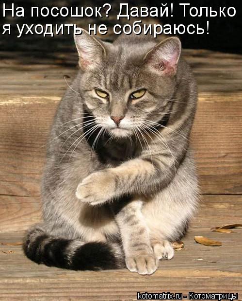 Котоматрица: На посошок? Давай! Только я уходить не собираюсь!