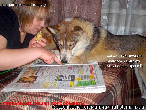 ша найдем тебе подругу! да...а тебя продам... надо же на что-то жить первое время!) (первый раз,решил... Котоматрица: ша найдем тебе подругу! да...а тебя продам... надо же на что-то жить первое время!) (первый раз,решил попробывать)