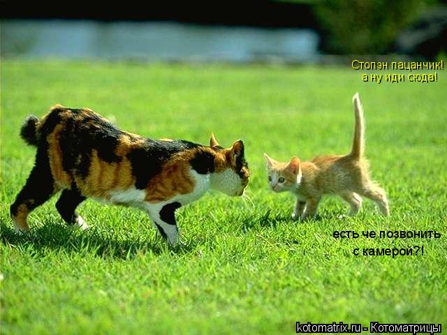 Стопэн пацанчик! а ну иди сюда! есть че позвонить с камерой?!... Котоматрица: Стопэн пацанчик! а ну иди сюда! есть че позвонить с камерой?!