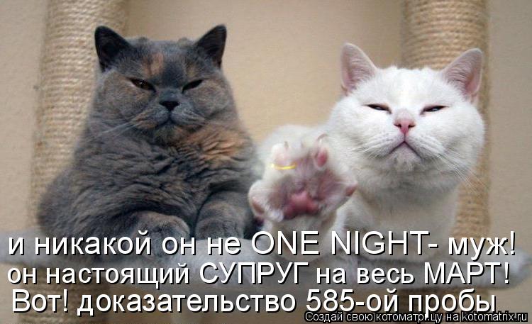 и никакой он не ONE NIGHT- муж! Вот! доказательство 585-oй пробы он настоящий СУПРУГ на весь MAPT!... Котоматрица: и никакой он не ONE NIGHT- муж! Вот! доказательство 585-oй пробы он настоящий СУПРУГ на весь MAPT!