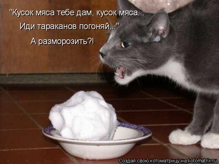 "Кусок мяса тебе дам, кусок мяса... Иди тараканов погоняй..." А разморозить?!... Котоматрица: "Кусок мяса тебе дам, кусок мяса... Иди тараканов погоняй..." А разморозить?!
