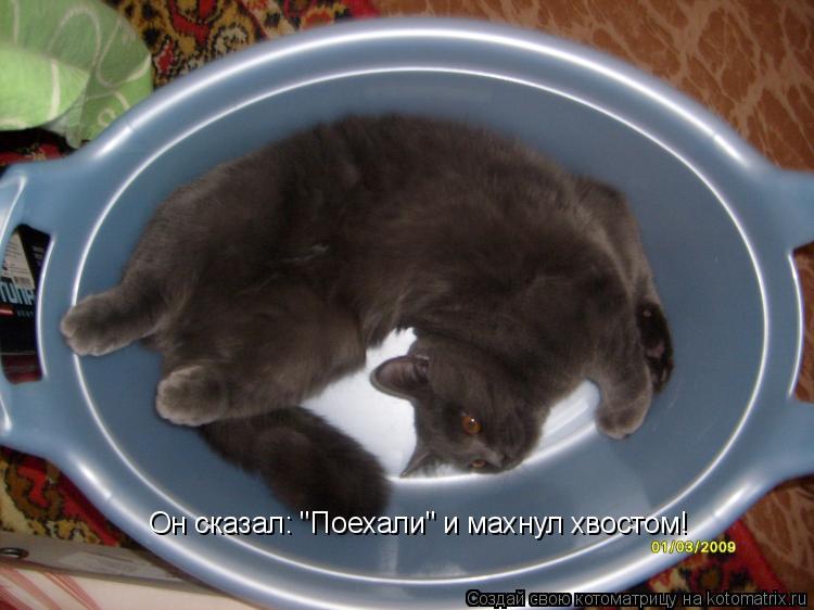 Он сказал: "Поехали" и махнул хвостом!... Котоматрица: Он сказал: "Поехали" и махнул хвостом!