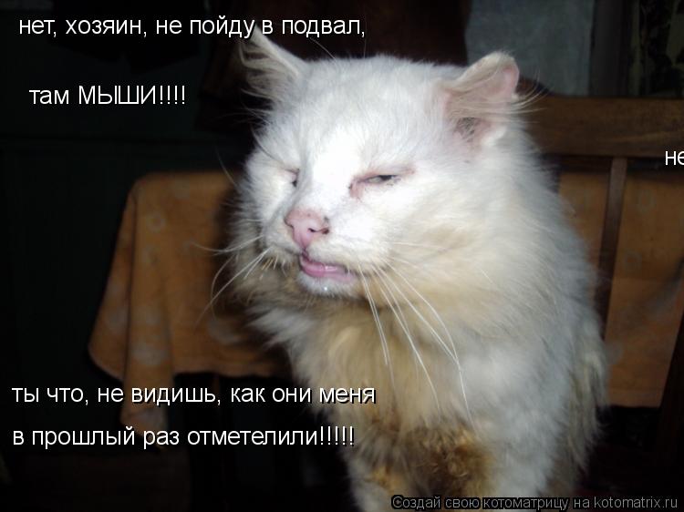 нет, хозяин, не пойду в подвал нет, хозяин, не пойду в подвал, там МЫШИ!!!! ты что, не видишь, как о... Котоматрица: нет, хозяин, не пойду в подвал нет, хозяин, не пойду в подвал, там МЫШИ!!!! ты что, не видишь, как они меня в прошлый раз отметелили!!!!!