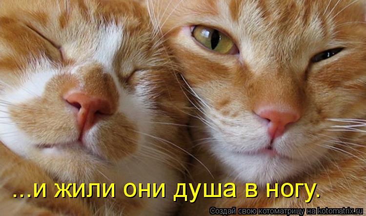 ...и жили они душа в ногу.... Котоматрица: ...и жили они душа в ногу.
