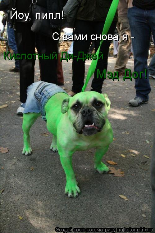 Йоу, пипл! С вами снова я - Кислотный Ди-Джей Мэд Дог!... Котоматрица: Йоу, пипл! С вами снова я - Кислотный Ди-Джей Мэд Дог!