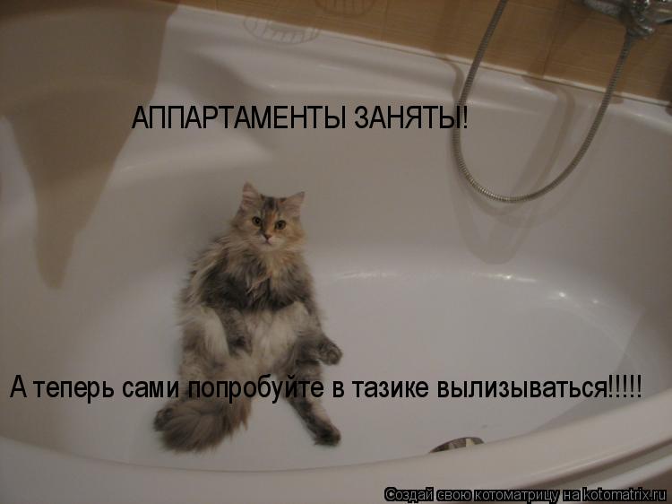 АППАРТАМЕНТЫ ЗАНЯТЫ! А теперь сами попробуйте в тазике вылизываться!!!!!... Котоматрица: АППАРТАМЕНТЫ ЗАНЯТЫ! А теперь сами попробуйте в тазике вылизываться!!!!!