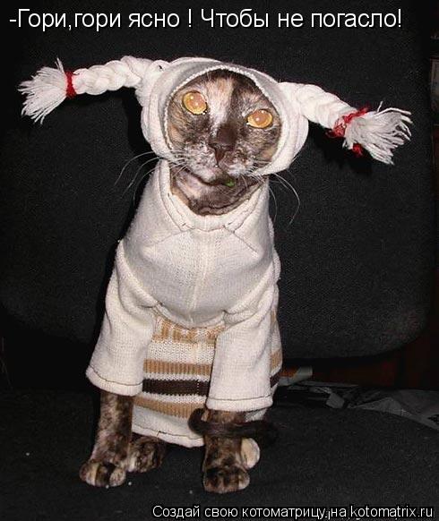 Котоматрица: -Гори,гори ясно ! Чтобы не погасло!