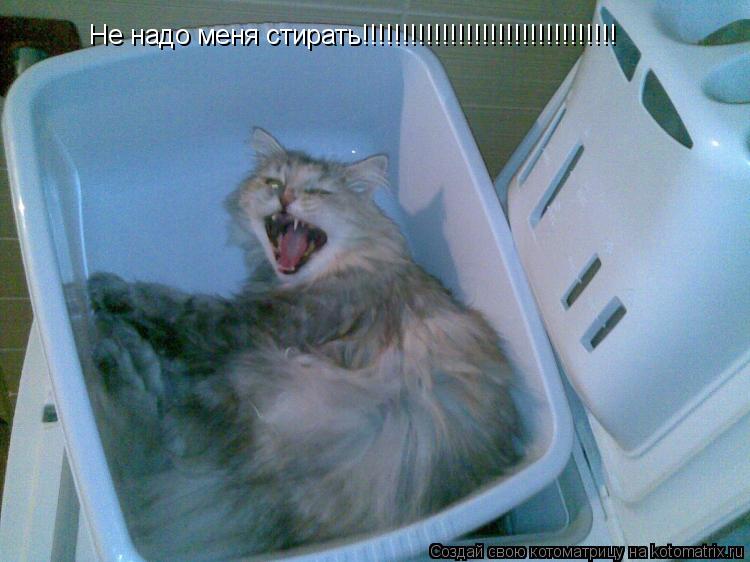 Котоматрица: Не надо меня стирать!!!!!!!!!!!!!!!!!!!!!!!!!!!!!!!!