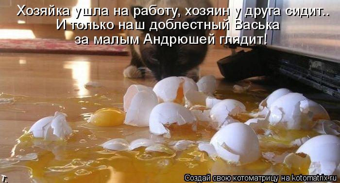 Хозяйка ушла на работу, хозяин у друга сидит.. И только наш доблестный Васька за малым Андрюшей гля... Котоматрица: Хозяйка ушла на работу, хозяин у друга сидит.. И только наш доблестный Васька за малым Андрюшей глядит!
