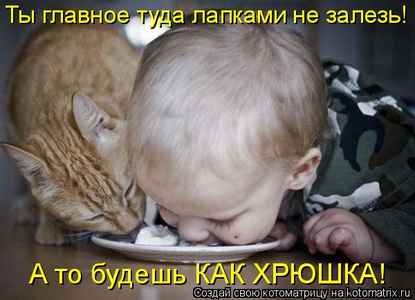 Котоматрица: А то будешь КАК ХРЮШКА! Ты главное туда лапками не залезь!