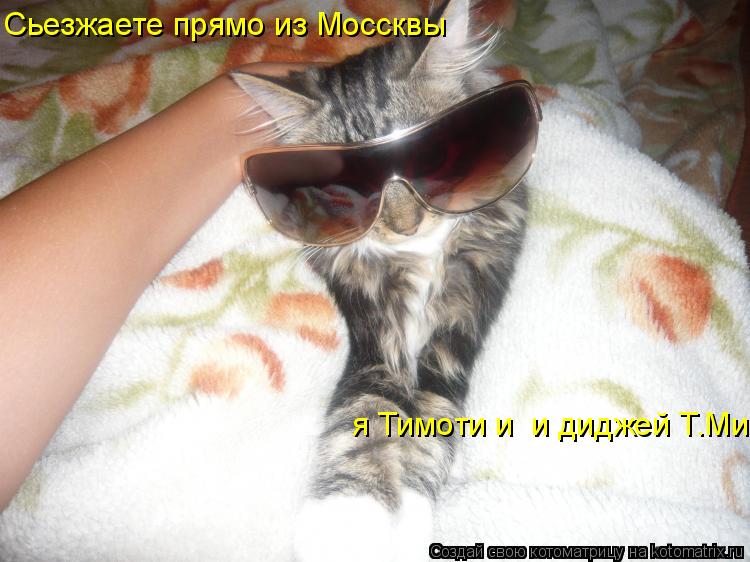 Котоматрица: Сьезжаете прямо из Моссквы я Тимоти и  и диджей Т.Ми
